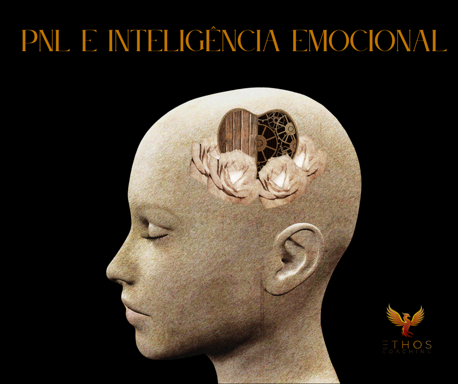 PNL e Inteligência Emocional